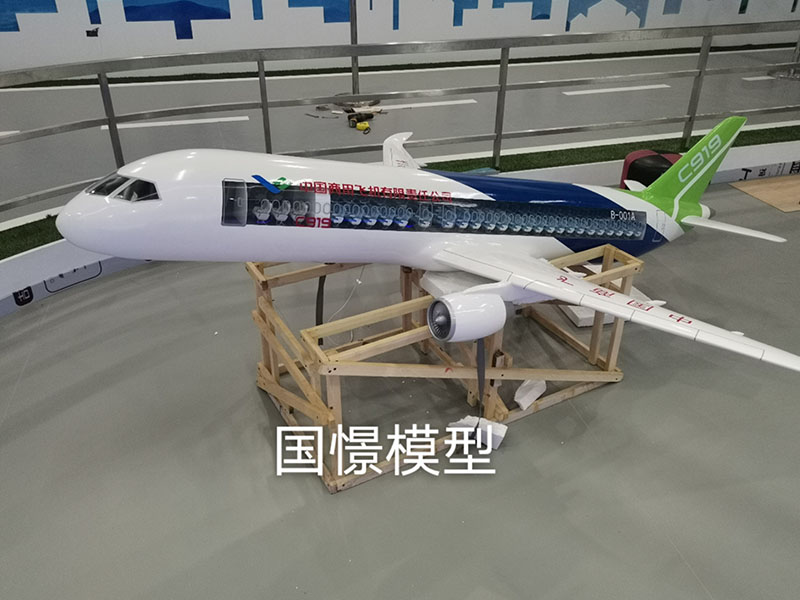 洮南市飞机模型